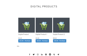 Digital Product Page