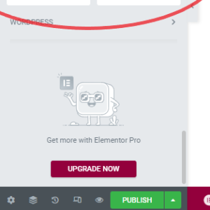 Elementor Publish Button